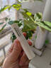 sakose凡士林修护润唇膏2支5.6g 四季防干裂起皮保湿补水女唇膜滋润唇纹 实拍图
