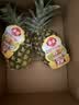 佳农菲律宾进口菠萝2个装 凤梨 单果净重2斤 源头直发 生鲜水果 包邮 实拍图