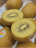 佳沛（zespri）新西兰 阳光金奇异果12粒特大果单果124-146g 猕猴桃水果礼盒 实拍图