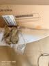 佳帮手真空封口机全自动双泵大吸力真空压缩机商家用抽包装干湿两用切割刀腊肉打包保鲜密封机塑封机 实拍图