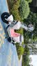 九号（Ninebot）【新国标电自】九号电动自行车Qz1 60智能代步9号电瓶车【门店自提】 到门店选颜色 实拍图