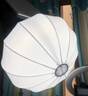 神牛补光灯【12期免息 顺丰包邮】LE200Bi/300Bi 双色温直播补光灯 led300W摄影常亮灯 录制拍照影棚灯 LE-Bi系列单灯套装-长条网格柔光箱 LE200Bi【黑色款】 实拍图