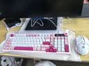 惠普（HP）K500F机械手感键盘 98配列多功能旋钮办公游戏台式电脑笔记本有线 键鼠套餐粉色 实拍图