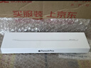Apple/苹果 Pencil Pro 磁吸触控笔手写笔苹果笔电容笔书写绘画iPad笔 适用于iPad Pro/Air/mini机型 实拍图