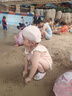 ASK JUNIOR儿童带泳帽度假泳衣夏吊带连体泳装小童宝宝高弹海边训练服泳装 实拍图