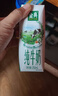 伊利【新鲜日期】金典纯牛奶整箱 200ml*24 3.6g乳蛋白 礼盒装 5月 实拍图