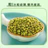 十月稻田 绿豆 2斤 (可发豆芽 打豆浆 东北 五谷 杂粮 粗粮 真空大米伴侣) 实拍图