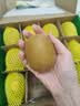 佳沛（zespri）新西兰 阳光金奇异果12粒特大果单果124-146g 猕猴桃水果礼盒 实拍图