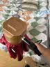 爱丽绅明火艾灸仪器一体机无烟家用理疗熏蒸器具雷火三伏灸七夕健康礼物 实拍图