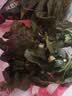 陈一凡铁观音特级500g 正宗安溪原产传统兰花香清香型茶叶新茶袋装 实拍图