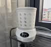 NBRW【洗漂脱一体丨母婴级杀菌】内衣裤洗衣杯专用迷你全自动小型便携懒人洗袜子带漂洗脱水波轮宿舍 【单杯全能版】【洗脱漂一体】3L大容量自带杀菌模式 实拍图