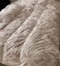 水星家纺羽绒被95%白鹅绒被子冬季加厚冬被芯双人羽绒被220cm×240cm1200g 实拍图