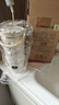 志高（CHIGO）便携式烧水杯650ml便携烧水壶电热水壶电热水杯烧水壶煮茶泡奶旅行加热杯冰霸杯生日节日礼物 实拍图