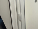 Apple/苹果 Pencil Pro 磁吸触控笔手写笔苹果笔电容笔书写绘画iPad笔 适用于iPad Pro/Air/mini机型 实拍图