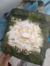 babycare金山茶花婴儿拉拉裤mini装L码20片(9-14kg)尿不湿超薄透气 实拍图