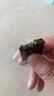 东阿阿胶桃花姬阿胶糕180g*2礼盒装即食阿胶送长辈女礼品七夕情人节礼物 实拍图