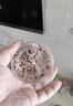 川珍桂皮130g【配料干净】广西去皮肉桂烟桂炖烧卤肉料火锅底料香辛料 实拍图