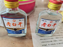 衡水河北老白干二两小酒 42度56度粮食酒小麦高粱酒口粮酒浓香型 42度 100mL 2瓶 实拍图