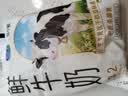 君乐宝鲜牛奶 哞小鲜180ml*12袋  生牛乳纯牛奶儿童营养早餐低温牛奶 实拍图