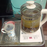 新飞多功能养生壶迷你办公室花茶壶玻璃烧水壶保温电热水壶煮茶烧水一体大容量煎药壶黑茶煮茶器煮水壶 米白色升级款 1.8L 实拍图
