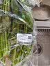 大菠菜300g 实拍图
