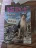 猫武士五部曲（全6册）曲族群黎明 儿童文学动物小说自主阅读生存勇气成长励志 奇幻冒险小说 中小学生青少年提升写作作文能力 课外书王芳推荐暑假作业 一升二暑假衔接 小升初暑假衔接 暑期阅读 课外推荐 晒单实拍图
