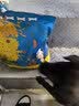 亿佳果狗粮通用型5KG20斤成犬幼犬专用泰迪金毛牛肉味冻干狗粮高钙营养 高钙壮骨升级款纯粮（幼犬） 5斤 实拍图