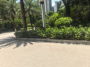 德芙全家桶 66%可可脂倍醇黑巧克力 碗装216g 休闲零食  生日礼物 实拍图