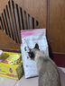 皇家猫粮 幼猫猫粮 幼猫奶糕 K36 通用粮 4-12月 4.5KG 实拍图
