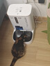 小佩AI宠物智能自动双子星喂食器可视版2代 多猫识别(支持鸿蒙智联) 实拍图