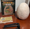 马丁兄弟儿童考古挖掘恐龙玩具恐龙蛋恐龙化石手工DIY玩具 生日礼物 实拍图