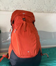 迪卡侬登山包MH500户外旅行徒步背包轻便出游露营大容量38L-5324239 实拍图
