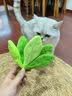 JKULNING宠物木天蓼艾叶摇内置猫薄荷磨牙玩具解闷自嗨猫咪逗猫发声玩具 实拍图
