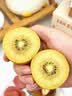 佳沛（zespri）新西兰 阳光金奇异果12粒特大果单果124-146g 猕猴桃水果礼盒 实拍图