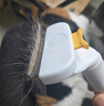 欢宠网猫梳子猫毛梳猫咪梳毛器去浮毛底绒打薄刮毛神器狗毛狗狗宠物专用 实拍图