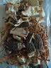 西云珍坊 云南菌菇汤包100g 羊肚菌特产山珍干货松茸蘑菇类煲炖鸡汤材料包 实拍图