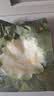 babycare爆款山茶花一次性内裤女孕产妇日抛出差旅行XL码15条【安全灭菌】 实拍图