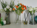 墨斗鱼玻璃条纹花瓶1816田园家居摆件现代简约插花花器餐厅桌面装饰花瓶 实拍图