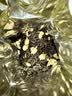 乐品乐茶茶叶茉莉花茶川派横县浓香特级茉莉绿茶新茶散装试饮品鉴装50g 实拍图