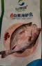 仙泉湖三去尖吻海鲈鱼1斤单条冷冻净膛金目鲈肉厚海鲜水产生鲜食材 实拍图
