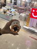 名创优品（MINISO）挂腰风扇2026新款超长续航大容量工地超大风强力腰间户外作业降温神器3c认证随身充电风扇制冷小型 实拍图