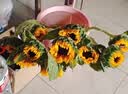 向日葵鲜花云南鲜花基地直发家用花束经典搭配教师节礼物 向日葵10枝 中大花 中大花向日葵 实拍图