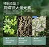 史丹利营养土养花通用型家用多肉兰花专用土泥炭土壤种植土花土10L 实拍图