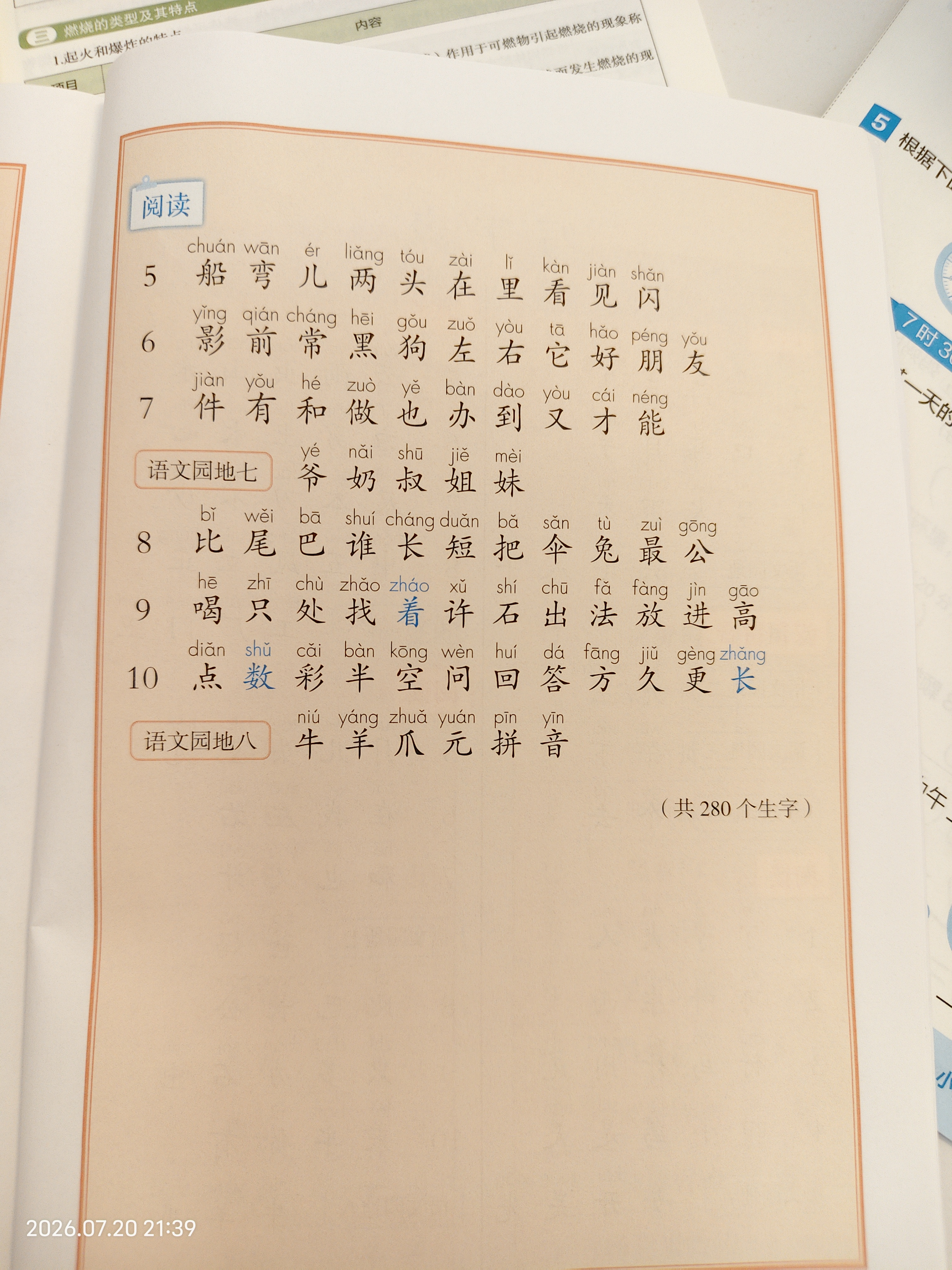 星期六时装凉鞋女2026新款夏季配裙子绝美包头凉鞋一脚蹬不累脚法式单鞋 实拍图