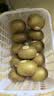 佳沛（zespri）新西兰 阳光金奇异果12粒特大果单果124-146g 猕猴桃水果礼盒 实拍图