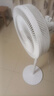 美的（Midea） 电风扇 家用风扇7叶落地扇立式轻音节能大风量电扇台扇迷你扇台立两用转页扇空气循环扇安静低音 店长推荐丨7叶劲风 百万单·SAF30AC 家用落地扇 实拍图