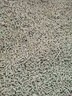 艾萨克豆腐猫砂除臭10kg豆腐砂20斤大袋绿茶豆腐猫砂10公斤猫沙无尘猫砂 绿茶味豆腐猫砂 10kg 实拍图