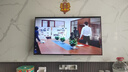 TCL雷鸟电视 55雀4 55英寸 高阶VA屏 144Hz高刷 32G大内存 低蓝光护眼认证  平板电视机55F270C-A 实拍图