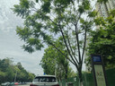 强生汽车贴膜隔热膜水晶深色汽车玻璃膜车膜车窗膜汽车膜隔热防爆防晒太阳膜全车贴膜玻璃隐私贴膜 实拍图