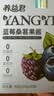养益君蓝莓果酱桑葚果酱0脂肪0添加蔗糖独立小包装300g(10*30条) 实拍图
